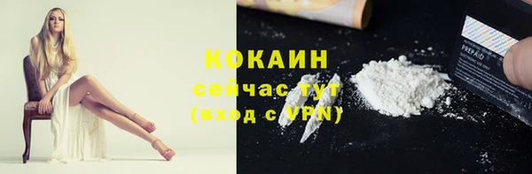 прущие крисы Богданович